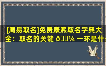 [周易取名]免费康熙取名字典大全：取名的关键 🐼 一环是什么